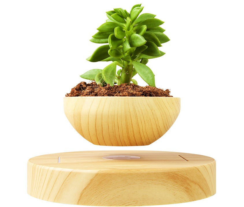 Succulent Home Decor - Care For The Garden You Want Indoors