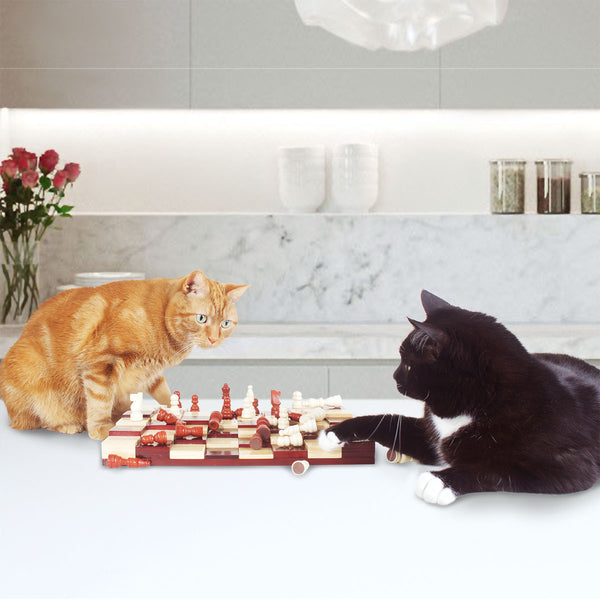 Multi Level Chess Set