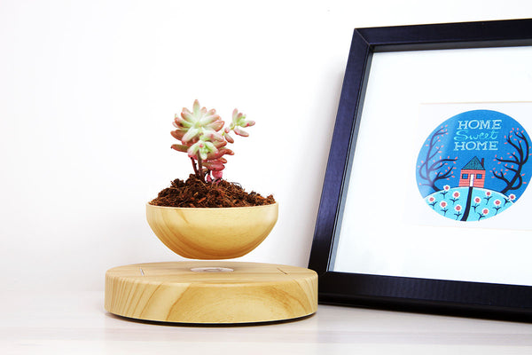 Levitating Plant Pot & Base (Set) | Maglev Technology & Adaptor for US, EU & UK