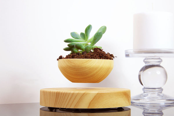 Levitating Plant Pot & Base (Set) | Maglev Technology & Adaptor for US, EU & UK