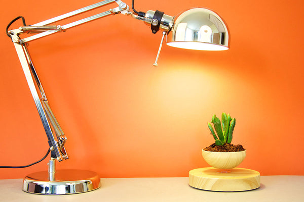 Levitating Plant Pot & Base (Set) | Maglev Technology & Adaptor for US, EU & UK